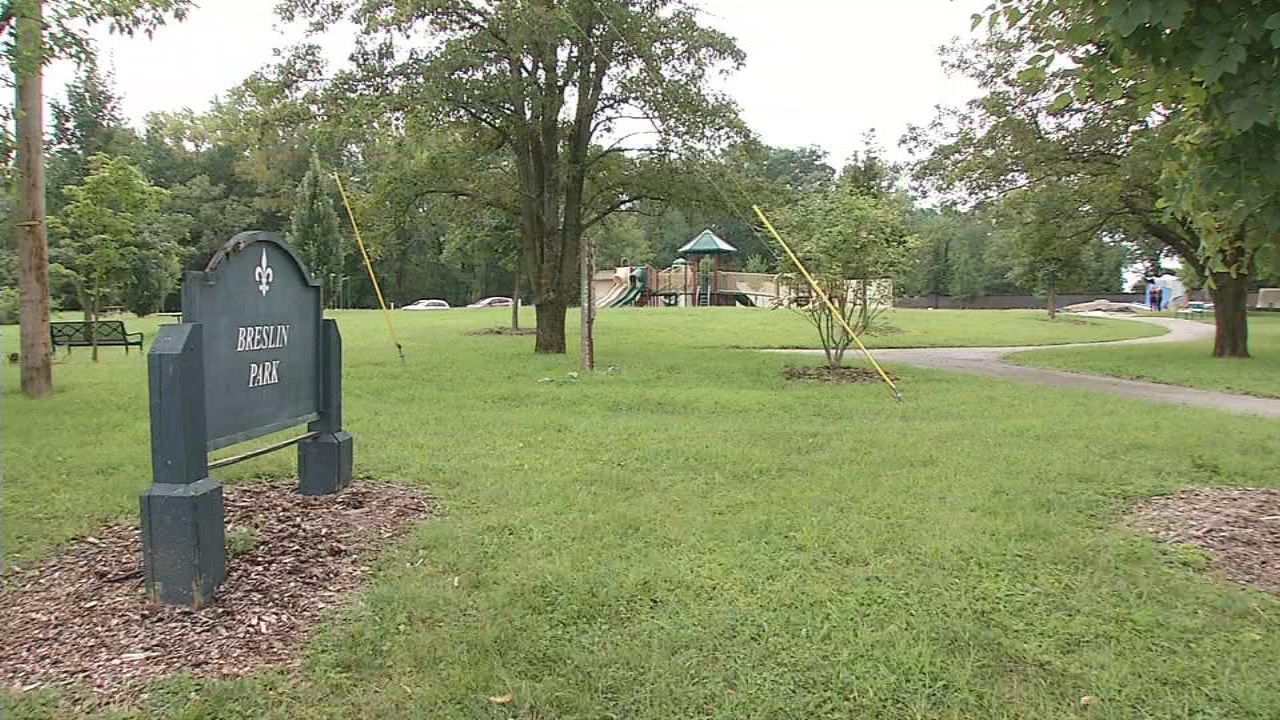 New $95,000 skate spot set to open next week in Breslin Park